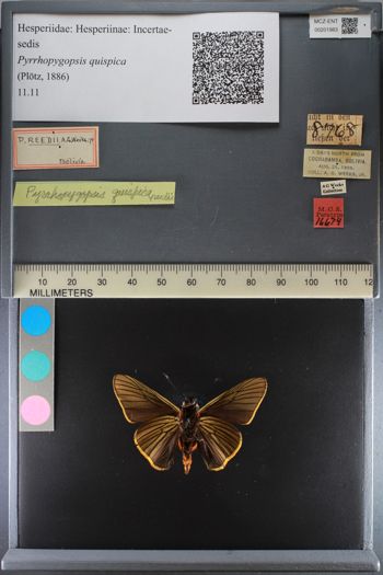 Media type: image;   Entomology 201983